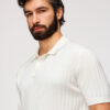 Meeste vertikaalse soonikkoega polosärk Ombre Clothing - Thumbnail Image 16