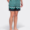 Meeste ujumispüksid Ombre Clothing lainemustriga - Thumbnail Image 16