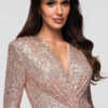 Larica litritega pikk pidulik kleit - Thumbnail Image 9