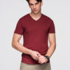 Ombre Clothing meeste V-kaelusega T-särk - Thumbnail Image 60