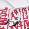 Ombre Clothing meeste kapuutsiga dressipluus trükisega - Thumbnail Image 8